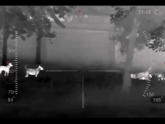 Thermal Imaging Monocular