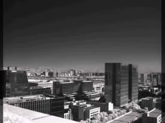 Thermal Imaging Monocular